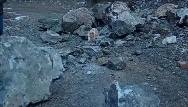Dağdan Kaya Düştü, Kamyonet Mucizevi Kurtuldu!